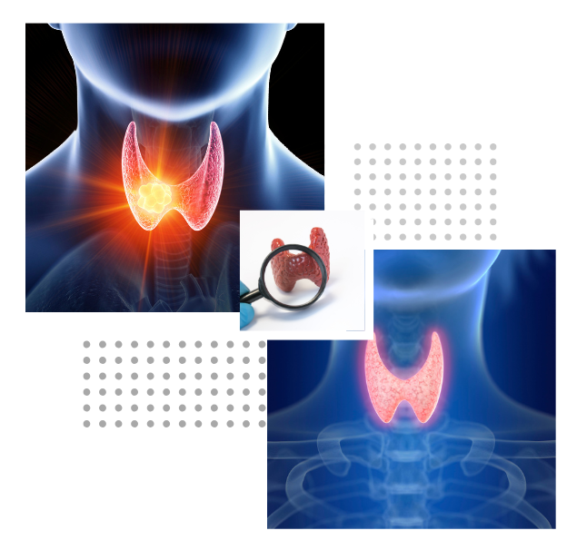 Rajshree Health Care